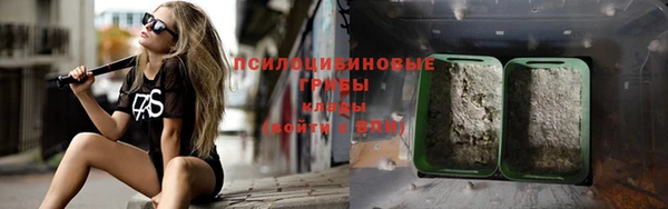 сатива Лабытнанги